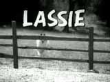 Lassie - The Matrix Version